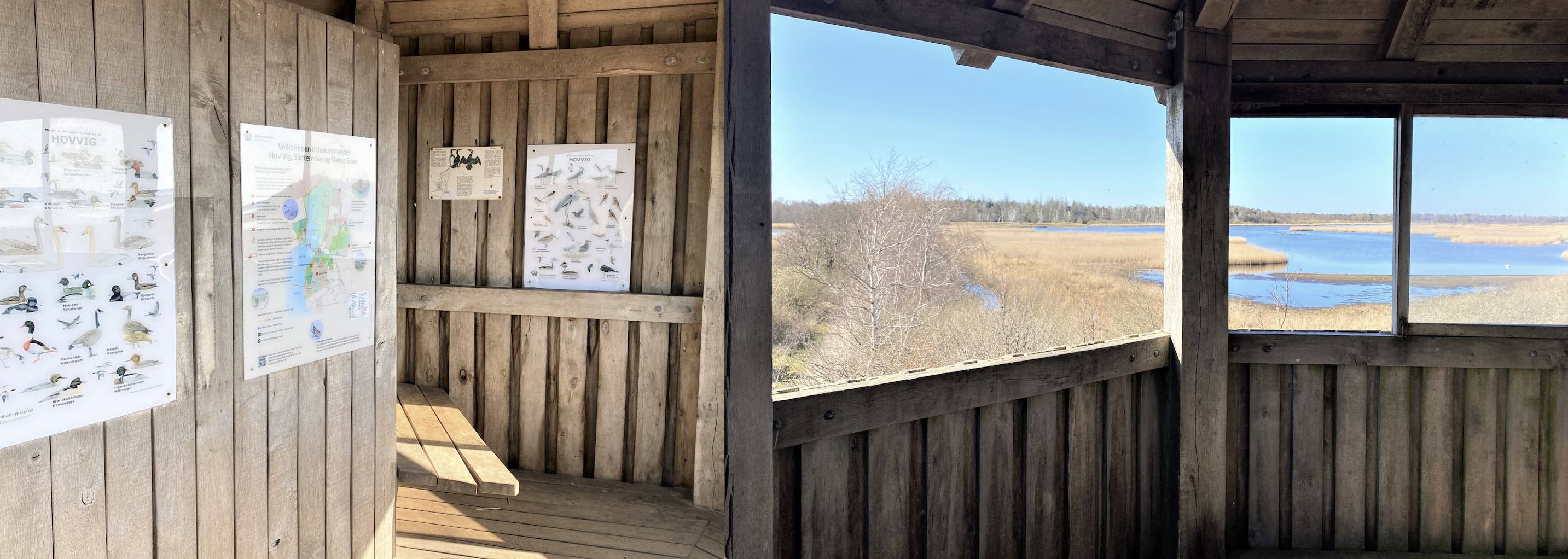 Hov Vig naturreservat - Det rene paradis for naturelskere